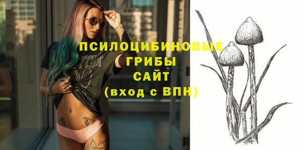 прущие крисы Абаза