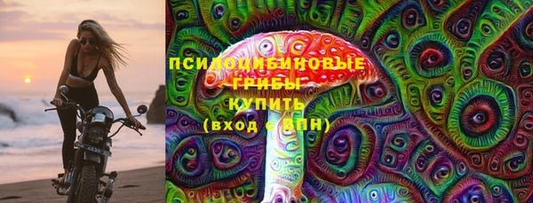 прущие крисы Абаза