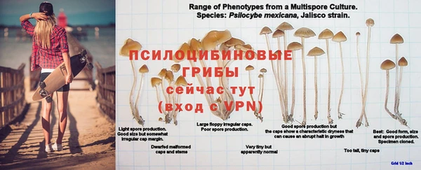 прущие крисы Абаза
