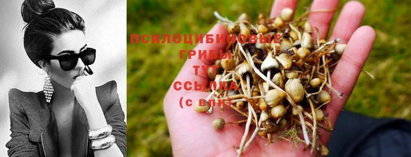 кристаллы Алексеевка