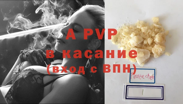 стаф Алексин