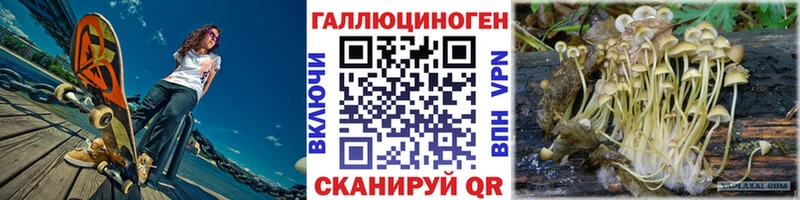 Псилоцибиновые грибы Psilocybe  blacksprut зеркало  Псков  сколько стоит 